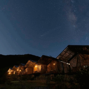 Wild Glamping Knuckles