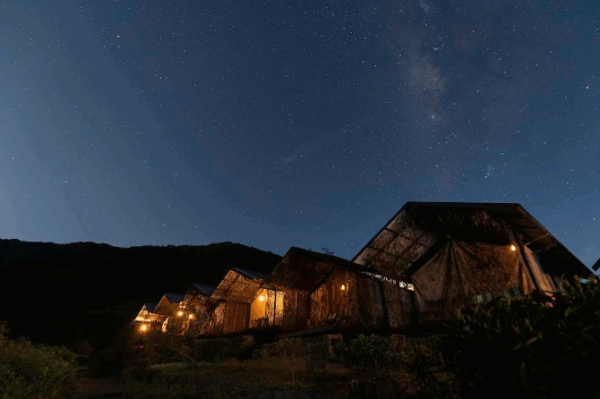 Wild Glamping Knuckles