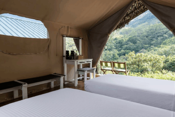 Wild Glamping Knuckles - Image 19