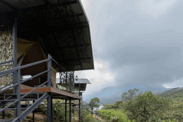 Wild Glamping Knuckles - Image 11