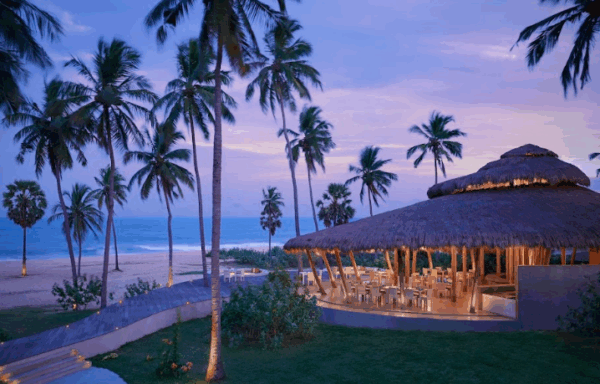 Jetwing Surf and Safari - Image 6