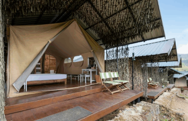 Wild Glamping Knuckles - Image 18