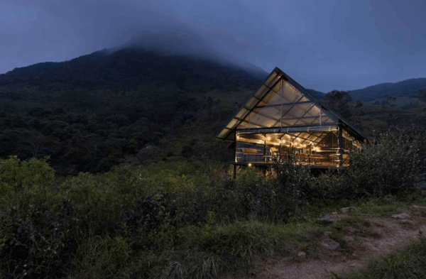 Wild Glamping Knuckles - Image 16