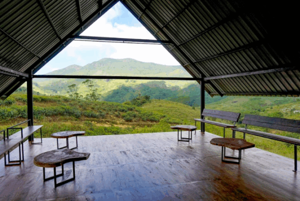 Wild Glamping Knuckles - Image 14